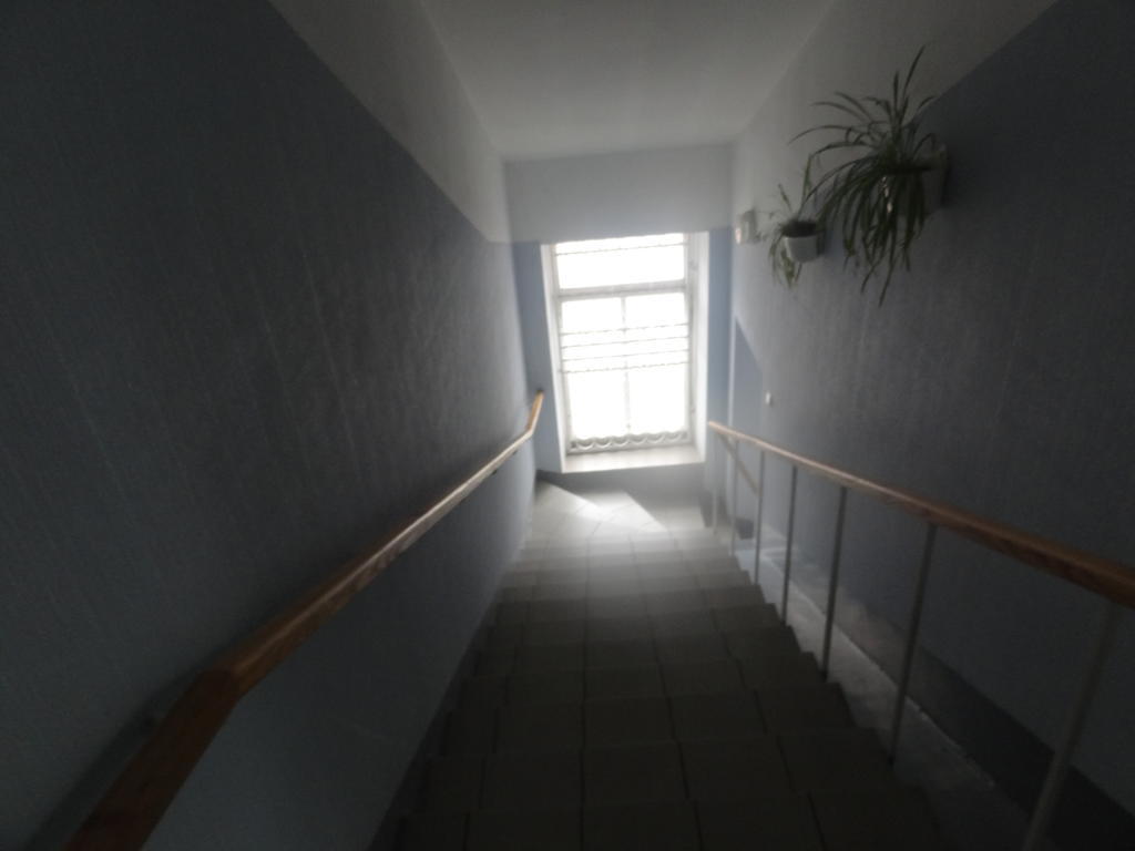 Hotel Rebir داوُجافبيلسْ المظهر الخارجي الصورة
