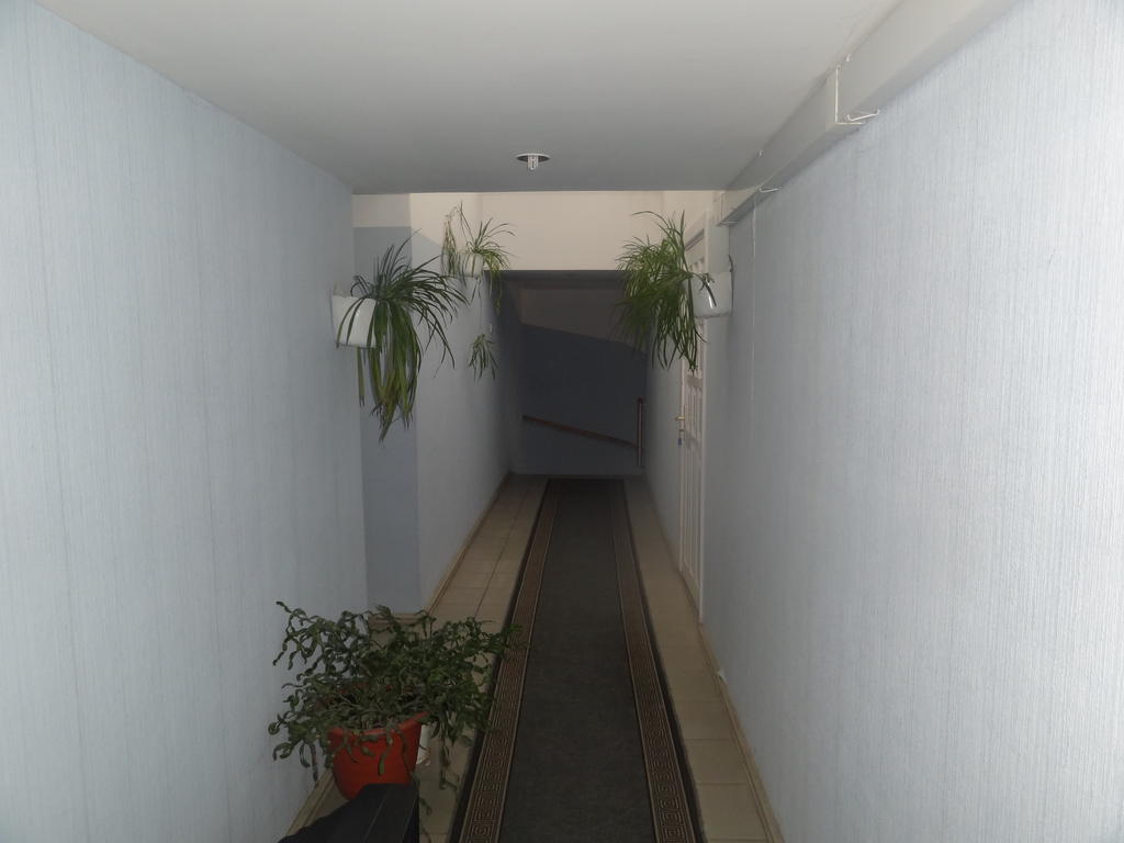 Hotel Rebir داوُجافبيلسْ المظهر الخارجي الصورة